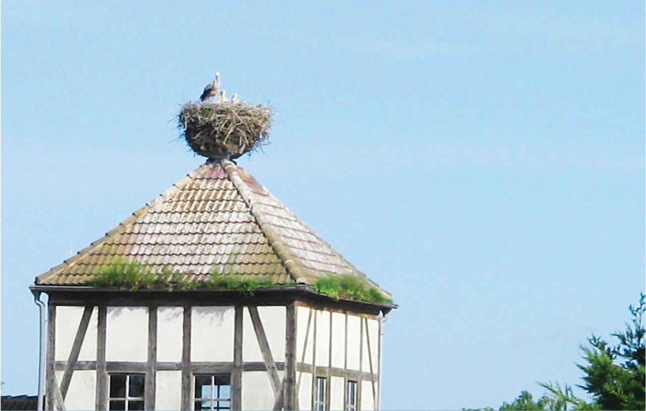 Herrenhaus Luebbenow Εξωτερικό φωτογραφία